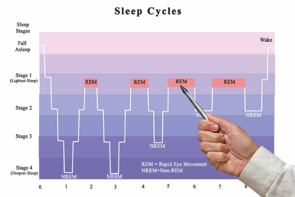 Oldest Premium International Mattress Brand Since 1898 International